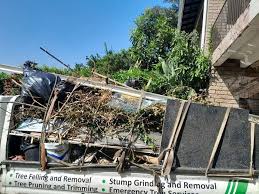 Trusted Morrice, MI Junk Removal Services Experts